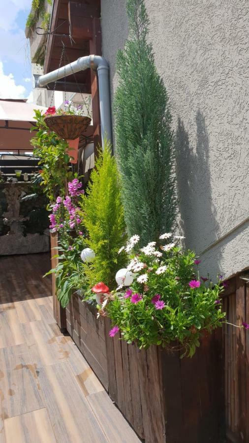 Amazing Apartamento Haifa Exterior foto